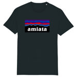 amiata