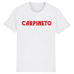 carpineto