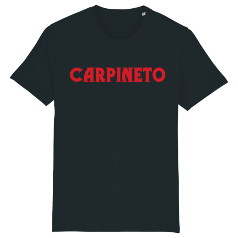 carpineto