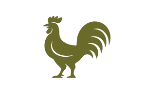 olio-extra-vergine-di-oliva-campo-gallo