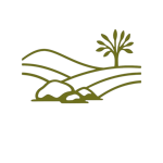 olio-extra-vergine-di-oliva-la-pietrara