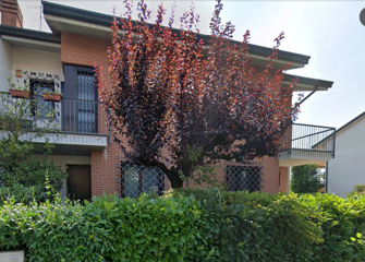 007 nerviano novella2 007 nerviano novella2