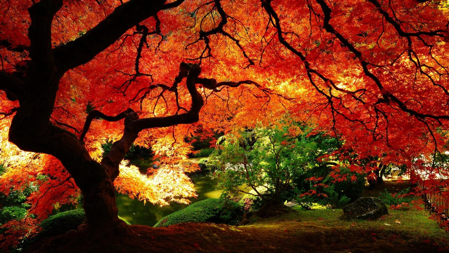 Background image for div
