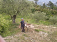Descrizione immagine