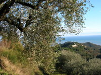 Descrizione immagine