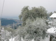 Descrizione immagine