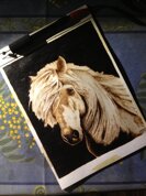 Descrizione immagine