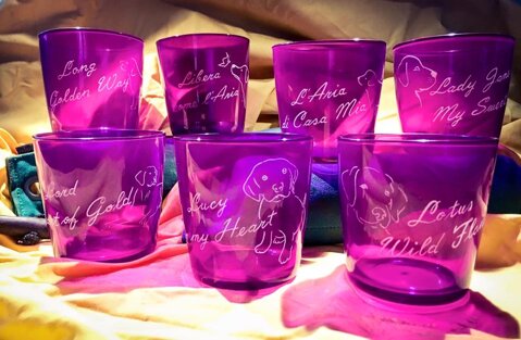 Descrizione immagine