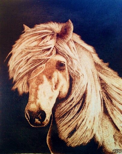 Descrizione immagine