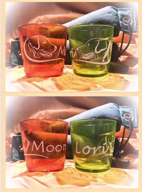 Descrizione immagine