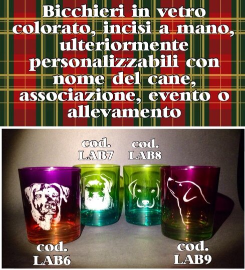 Descrizione immagine