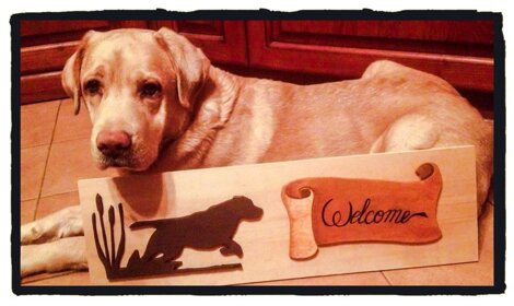 Descrizione immagine