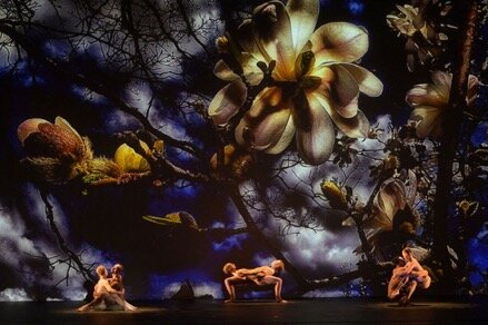 Dal 28 aprile al 10 maggio torna a Roma la compagnia MOMIX con Botanica Season 2