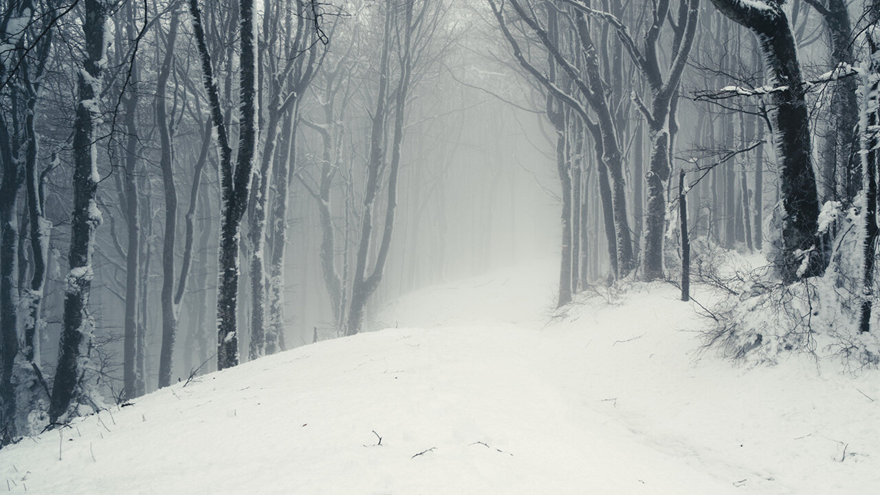 Per la Festa della Liberazione arriva in sala "Avevo due paure", documentario sulla Resistenza Italiana