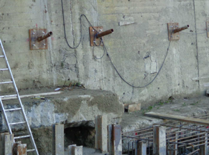 Descrizione immagine