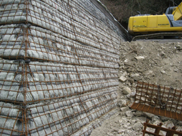 Descrizione immagine