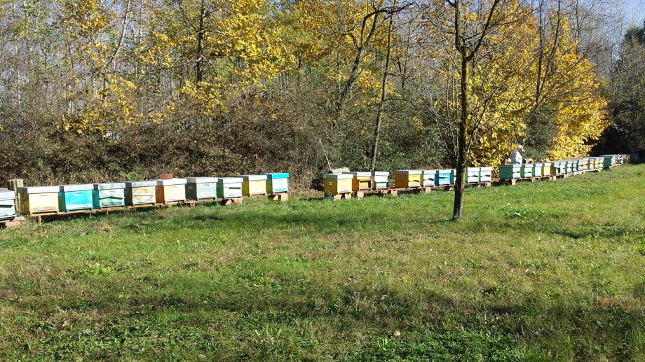 Descrizione immagine