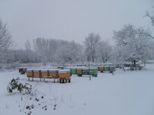 Descrizione immagine