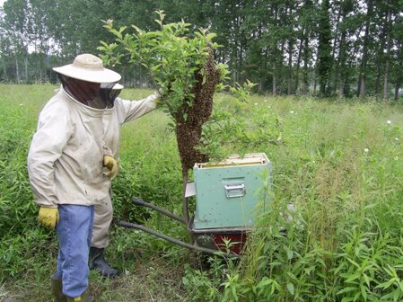 Descrizione immagine