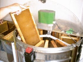 Descrizione immagine