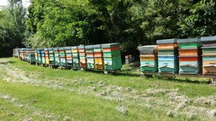 Descrizione immagine