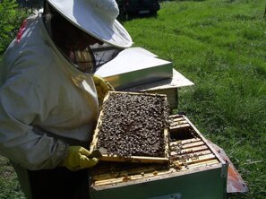 Descrizione immagine