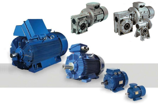 Descrizione immagine