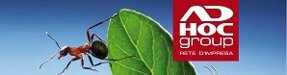 ad hoc group