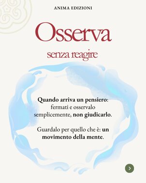 whatsapp image 2026-03-19 at 14.15.36 (3).jpeg