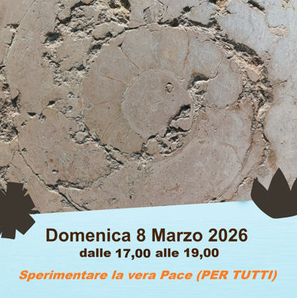 2026.03.08 2026.03.08