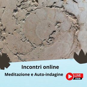 incontri meditazione e auto-indagine