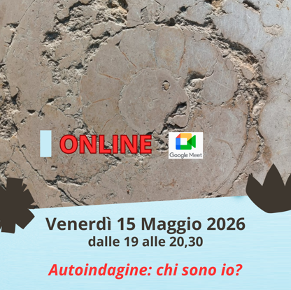 2026.05.15