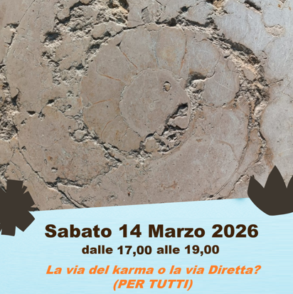 2026.03.14 2026.03.14