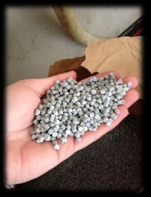 Descrizione immagine