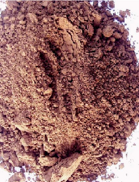 Descrizione immagine