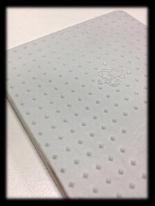 Descrizione immagine