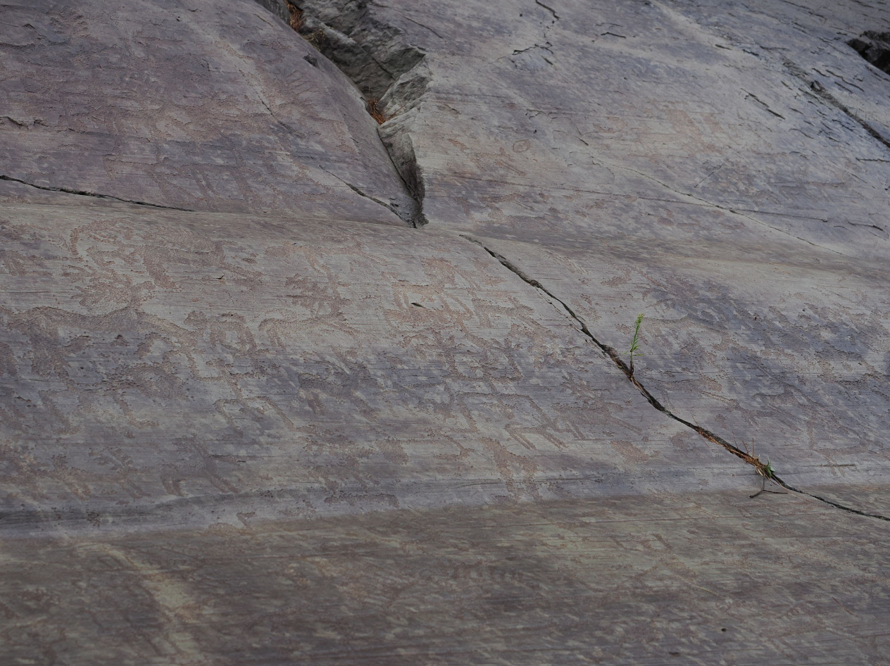 valle-camonica-alto-sebino-1.png