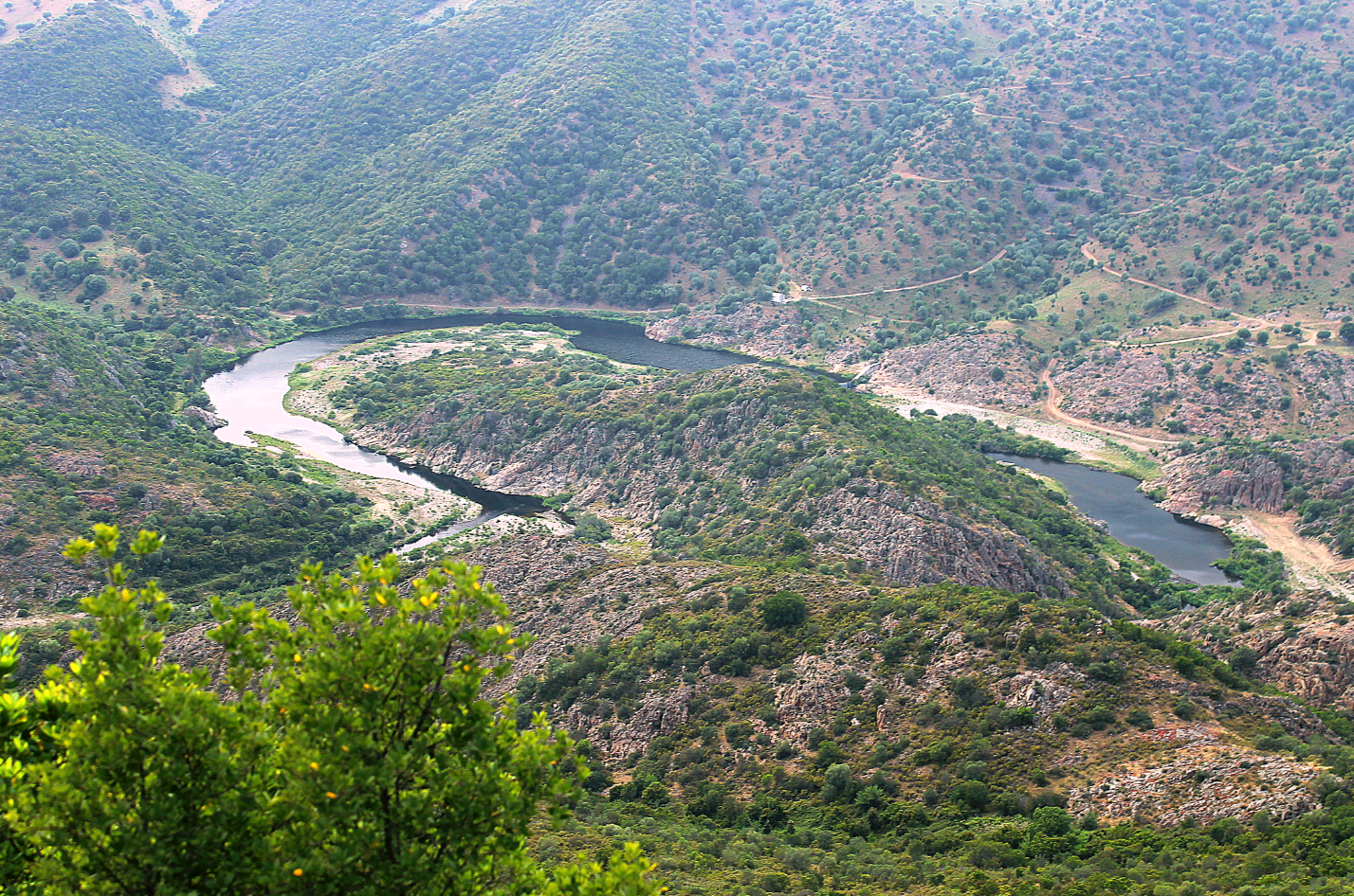 tepilora-rio-posada-e-montalbo-(sardegna)-1.png