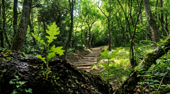 Avventura e Natura Avventura e Natura