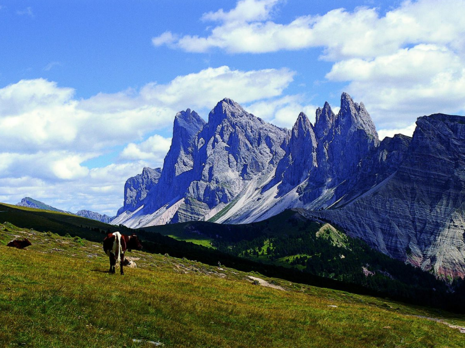 le-dolomiti-3.png le-dolomiti-3.png