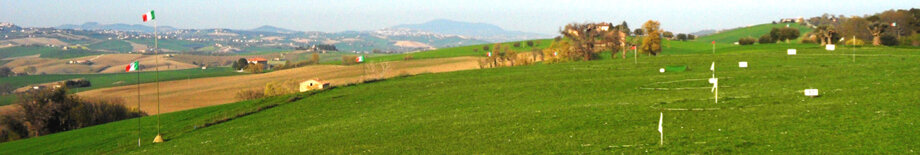 Descrizione immagine