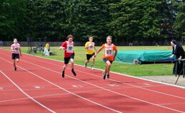 Descrizione immagine