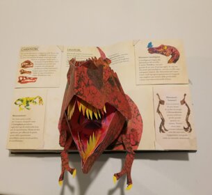 Descrizione immagine