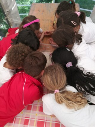 Descrizione immagine