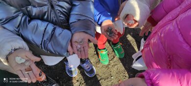 Descrizione immagine