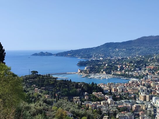 Descrizione immagine