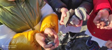 Descrizione immagine