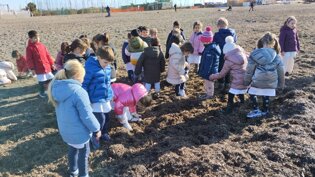 Descrizione immagine