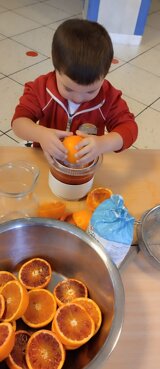 Descrizione immagine