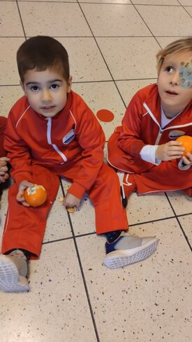 Descrizione immagine